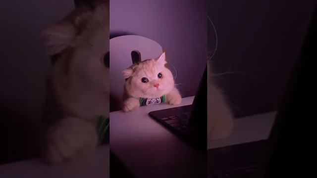 Пора ложиться смотреть онлайн