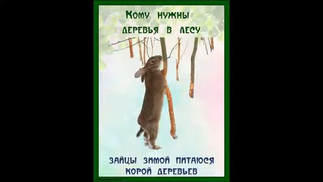 Кому нужны деревья в лесу смотреть онлайн