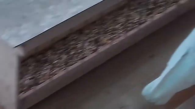 Ижевские голуби смотреть онлайн