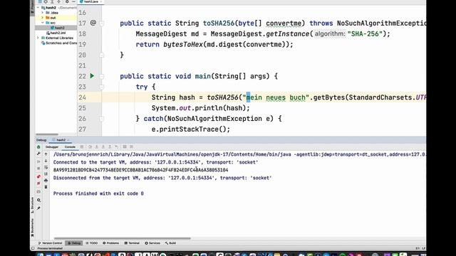 java, sha256, proof of work (und proof of work) und der anfang einer blockchain смотреть онлайн