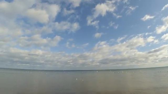 Балтийское море, первые впечатления. Чайки и альбатросы смотреть онлайн