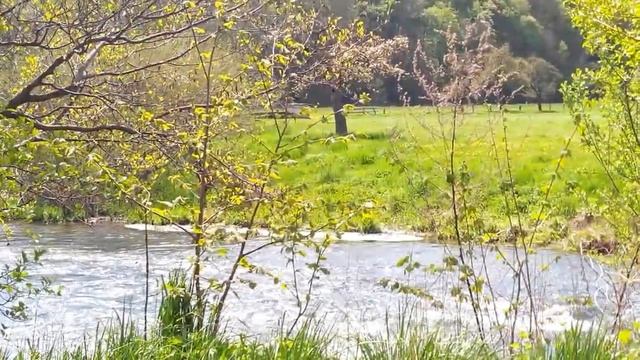 Минутка релаксации на природе [Sky Angel] смотреть онлайн