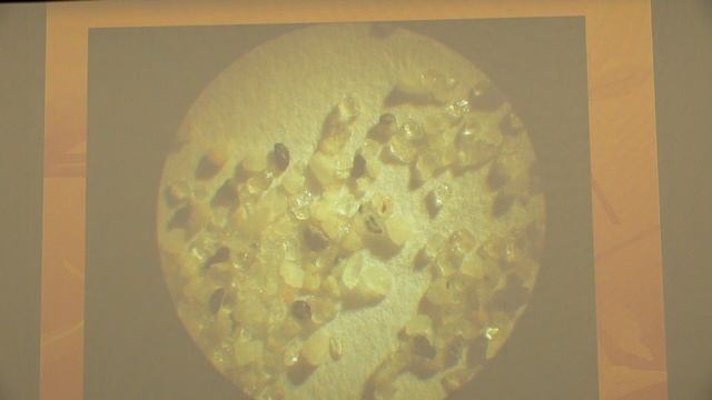 Вознесенский Е. А. - Грунтоведение - Строение грунтов смотреть онлайн