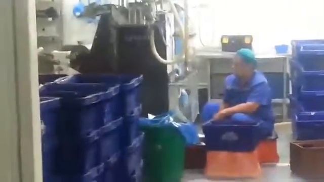 Упаковка молока смотреть онлайн