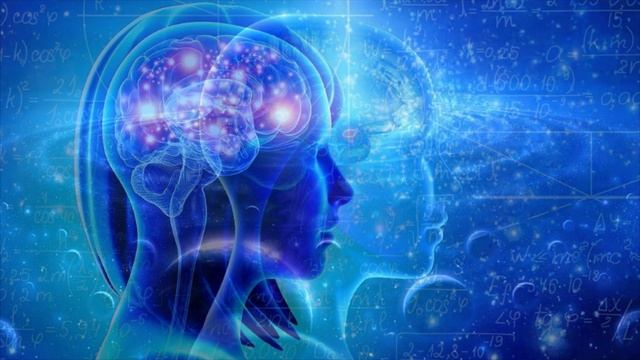 Высшее образование Пятого измерения.