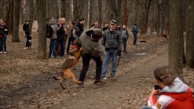 9 апреля Нижний Новгород Малинуа лобовая атака на двоих нападающих смотреть онлайн