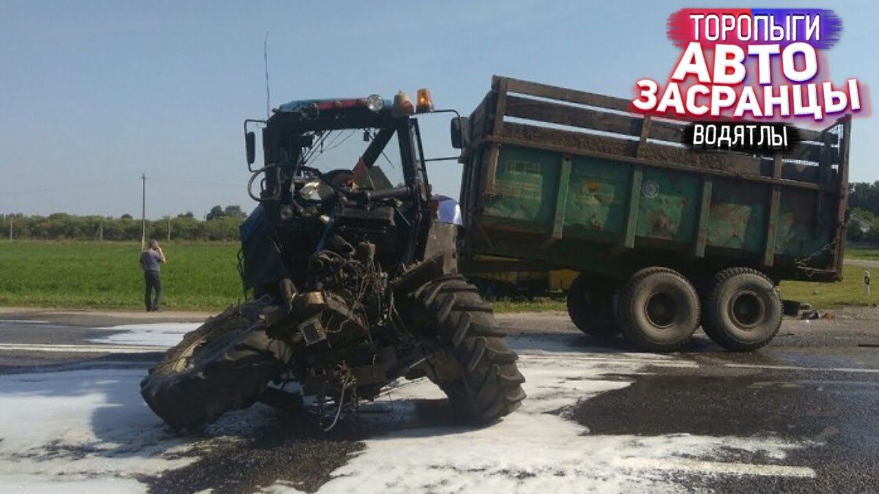 На дороге смотри в оба! Торопыги и Водятлы смотреть онлайн