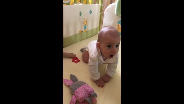 Поза "русалки" или как мы начали гонять за котом смотреть онлайн