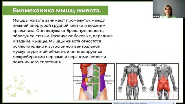 Моя конференция смотреть онлайн