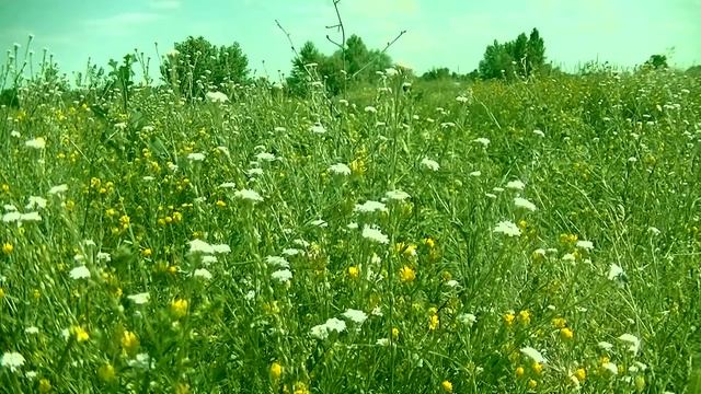 10 ИЮЛЯ САМСОНОВ ДЕНЬ ! ОБЫЧАИ И ПРИМЕТЫ !ЧТО НЕЛЬЗЯ ДЕЛАТЬ? ИЗБАВЬСЯ ОТ КРАВАВОГО ПЯТНА В ГЛАЗУ! смотреть онлайн