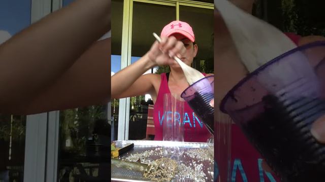 Rooting Plumeria Cuttings in Perlite смотреть онлайн