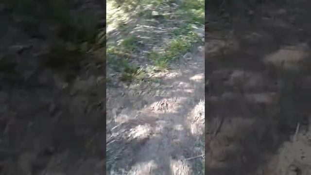 Дакниса зажигает смотреть онлайн