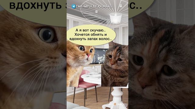 Скучаю по тебе #мем #мыкотики #приколы #юмор #разговор #анекдот #шутки #котики смотреть онлайн