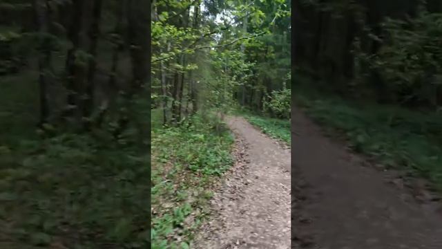 Утренний белый стих смотреть онлайн