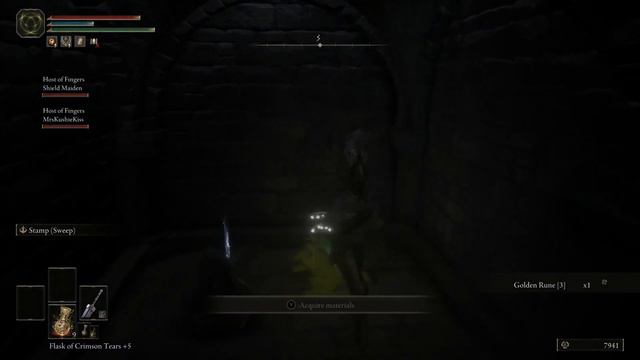 I Have No Memory of This Place - Elden Ring Coop Mod - Part 23 смотреть онлайн