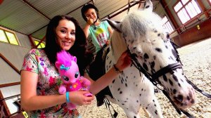 Катаемся на пони с Пинки Пай - Отдых в Москве - Куда сходить