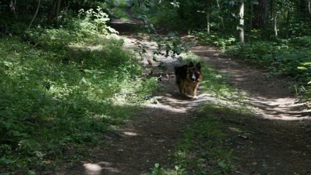 Псс волонтеры совместные занятия смотреть онлайн