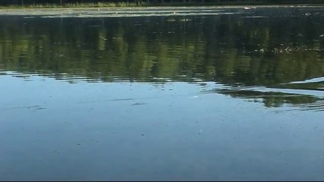 Черталы - Любовь с высоты птичьего полета. Часть 2 смотреть онлайн