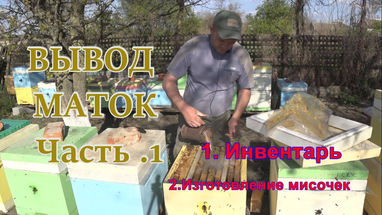 ВЫВОД МАТОК Часть 1 смотреть онлайн