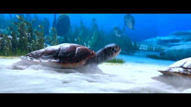 The Little Mermaid (2023) - Under the Sea [2K] смотреть онлайн