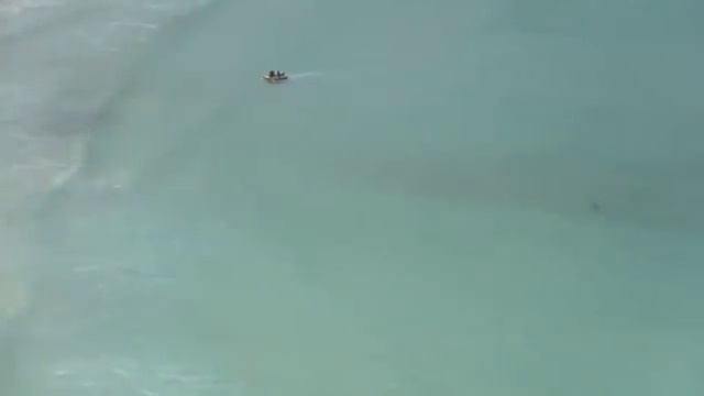 Shark Attack in Fish Hoek | Cape Town | South Africa September 2011 - See the Shark!! смотреть онлайн