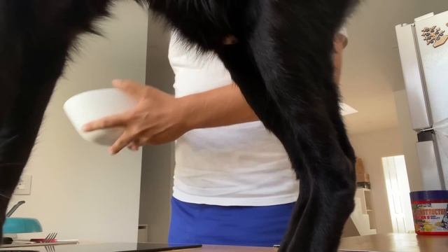 ГОТОВЛЮ ЩИ НА ЧУЖИХ КОСТЯХ …