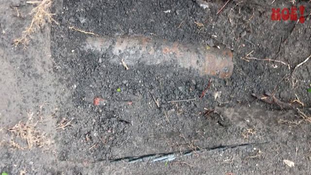 Борис Лачинов о солдатах Вермахта и Бринкманском саде Воронежа смотреть онлайн