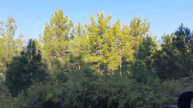 река Дим Чай, на авто вокруг водохранилища Алания Турция смотреть онлайн