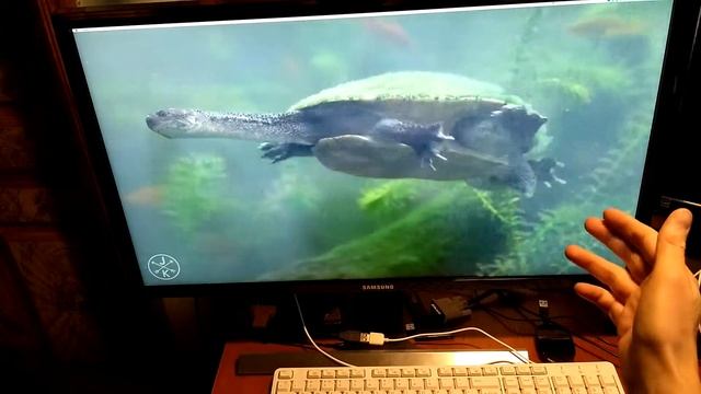 Mac Os 4K Pentium G4500 Intel HD Graphics 530