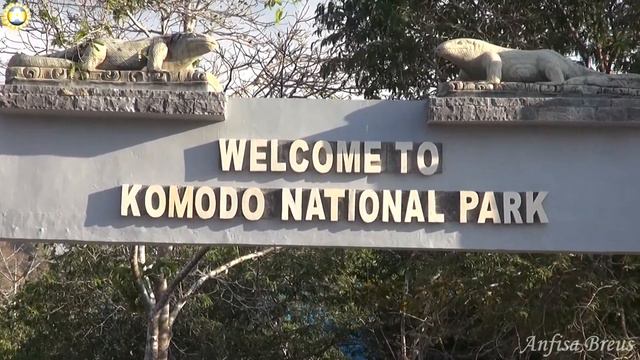 Komodo National Park, Komodo Dragons, Flores, Indonesia. 412 смотреть онлайн