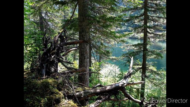 природа Хабаровского края (nature Of The Khabarovsk Territory)