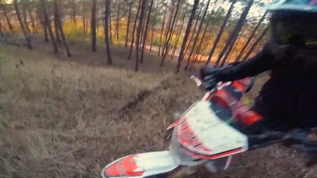 #LiveEnduro Запрещенный прием. Фрирайдовая покатушка! смотреть онлайн