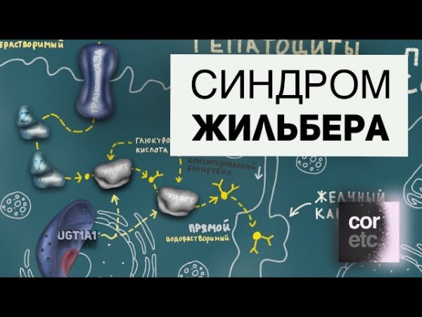 Обмен билирубина. Синдром Жильбера
