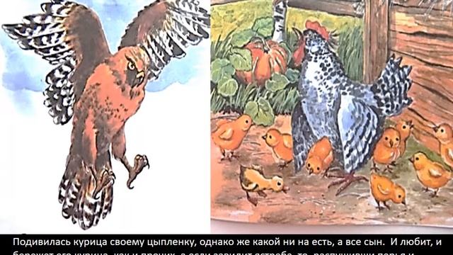 читаем К Ушинский Чужое яичко ДО4 гр9 смотреть онлайн