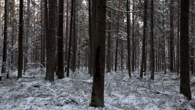 Поздняя осень в Красницах смотреть онлайн