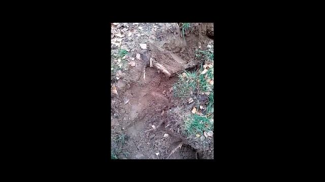 Как быстро избавиться от пня. смотреть онлайн
