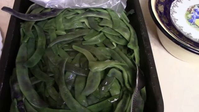 Хасамнра. Лобие шин, сава звстане.