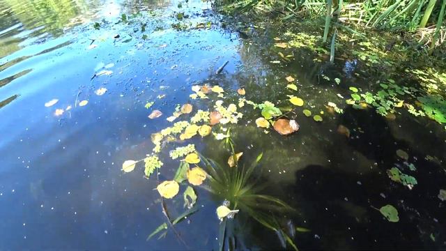 Красная горка, древлянский парк смотреть онлайн