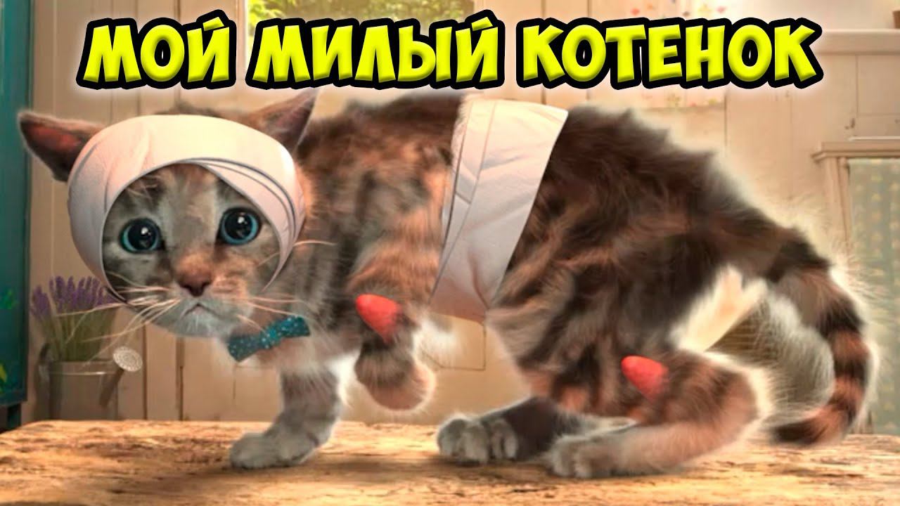 Приключения крошки котенка Игра про котика смотреть онлайн