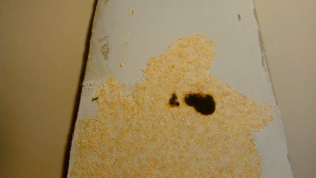 Горят ли жидкие обои? смотреть онлайн