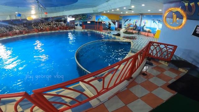 Dolphin Village Dammam | Dolphin Show | Dammam | KSA Expore | Jiby's Vlogs | смотреть онлайн