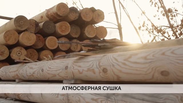 Компания Курган Лес смотреть онлайн