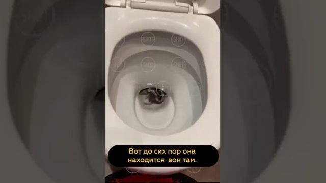 Огромная крыса укусила моего сына из туалета смотреть онлайн