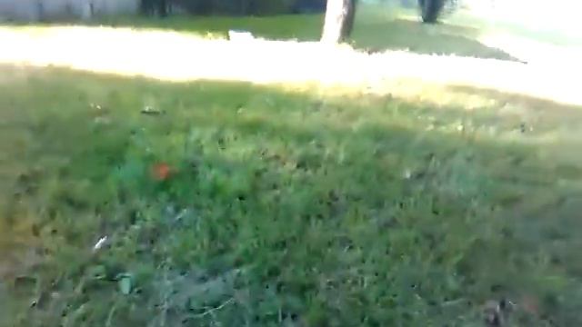 Мой щенок Хаски смотреть онлайн