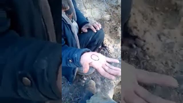 Как нарисовать орла