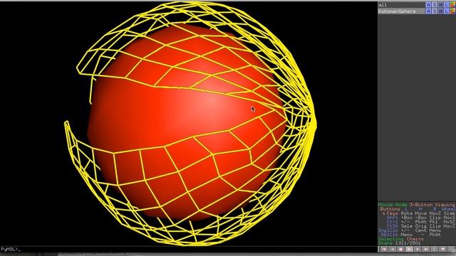 Kohonen feature mapping from a spherical surface onto a 20x20 network, PyMOL style 2 смотреть онлайн