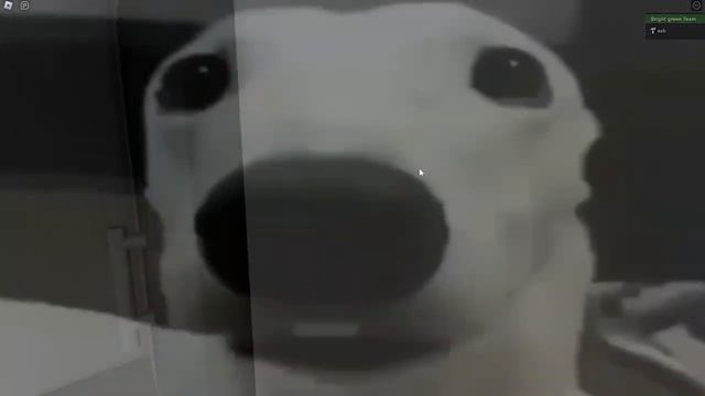 My Old 2017 ROBLOX GAMES Are WEIRD… смотреть онлайн