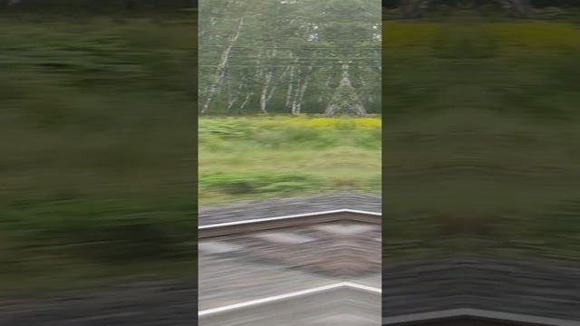 Дорога Челябинск - Тюмень