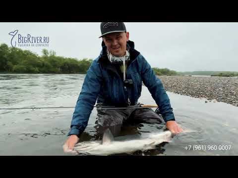 Камчатка, Чавыча, Река Большая, Нахлыст, BigRiver
