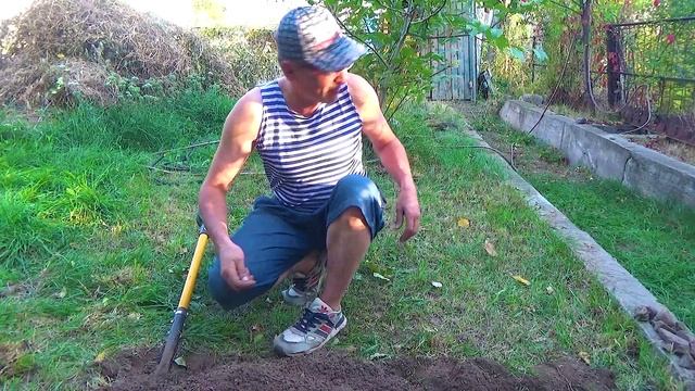 5 Вырос камушек но маленький (2).mp4 смотреть онлайн